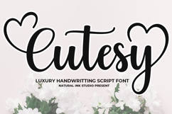 Super special Beauty Lady Font Bundle Product Image 21