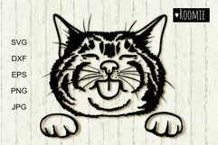 Funny Cat portrait SVG files for Cricut Cat mom shirt design Product Image 2