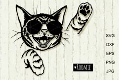 Cool Cat in sunglasses SVG for Cricut, Cat mom shirt design Product Image 2