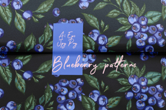 Blueberry vector patterns set Product Image 1