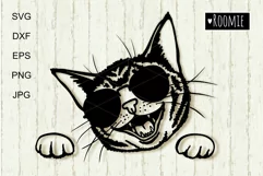Cool Cat in sunglasses SVG for Cricut, Cat mom shirt design Product Image 1