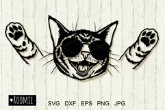 Rock Cat in sunglasses SVG for Cricut, Cat mom shirt design Product Image 1