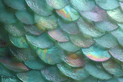 Iridescent Mermaid Scale Texture Teal Shimmer Background Product Image 1