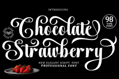 Chocolate Strawberry - Family Font In 98 Type Product Image 1