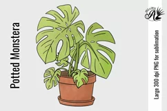 Potted Monstera PNG for sublimation or illustration Product Image 1