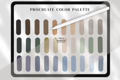 Muted Procreate Palette. Soft Natural Color Swatches Product Image 2
