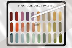 Muted Procreate Palette. Calm Natural Vintage Color Swatches Product Image 2