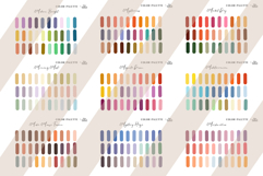 Procreate Color Palette Bundle Vol.3. 75 Procreate Swatches Product Image 7
