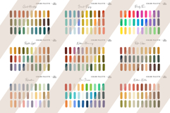 Procreate Color Palette Bundle Vol.3. 75 Procreate Swatches Product Image 8