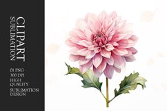 Watercolor dahlia pink flower clipart Product Image 1