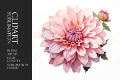 Watercolor dahlia pink flower clipart Product Image 1