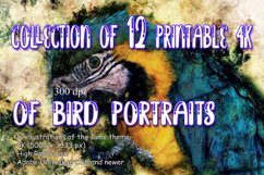 Collection of 12 Images 4k of BIRDS 300 dpi Product Image 1