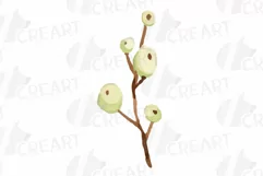 Cotton bolls and fir branch leafy autumn and winter decor Product Image 24
