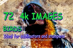 BIRDS Pack of 72 Printable Images Graphics Product Image 1
