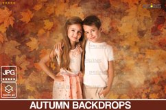 Autumn backdrop, photoshop overlays, Fine Art Textures Product Image 1