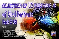 Collection of 12 Images 4k of Bird Portraits PACK 08 300 dpi Product Image 1