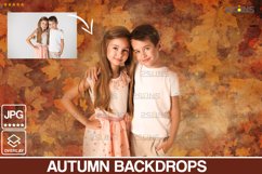 Autumn backdrop, photoshop overlays, Fine Art Textures Product Image 2