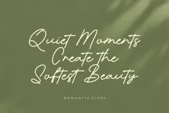 Romantic Diary - Minimalist Script Font Product Image 2