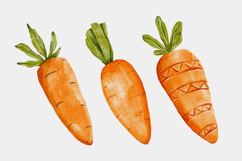 Carrots watercolor clipart png Product Image 2