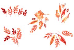 Watercolor Autumn Leaves PNG Product Image 2