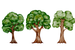 Green trees clipart watercolor png Product Image 2