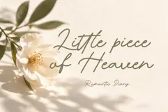 Romantic Diary - Minimalist Script Font Product Image 3