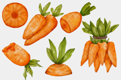 Carrots watercolor clipart png Product Image 3