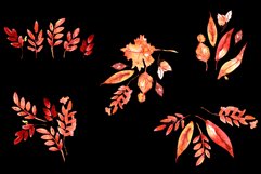 Watercolor Autumn Leaves PNG Product Image 3