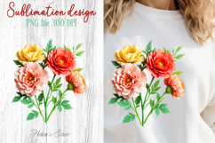 Carnations flowers sublimation design png | Floral clipart Product Image 1
