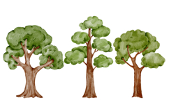 Green trees clipart watercolor png Product Image 3