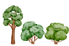 Green trees clipart watercolor png Product Image 4