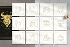 Astrology Zodiac Collection Product Image 3