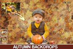 Autumn backdrop, photoshop overlays, Fine Art Textures Product Image 5