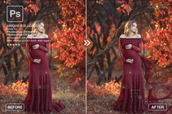 Tulle overlays, Flying fabric photoshop Veil Maternity Product Image 5