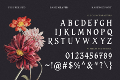 Kastroz - Luxury Vintage Serif Font Product Image 5