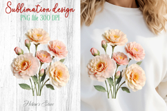 Carnations flowers sublimation design png | Floral clipart Product Image 1