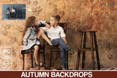 Autumn backdrop, photoshop overlays, Fine Art Textures Product Image 6