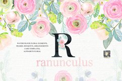 Buttercups. Ranunculus soft pink. Product Image 4