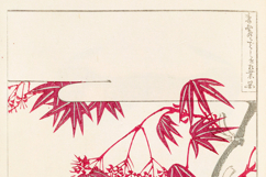 50 Vintage Japanese Ornamental Designs Images Bundle Product Image 5