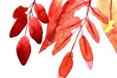 Watercolor Autumn Leaves PNG Product Image 7