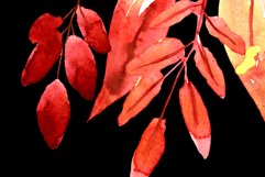 Watercolor Autumn Leaves PNG Product Image 8