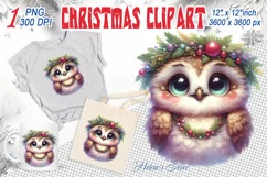 Christmas owl clipart sublimation PNG | Retro funny animal Product Image 1