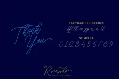 Stringlight Typeface - Free Font of The Week Product Image 8