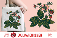 Wildflowers strawberry clipart | Vintage flowers graphics Product Image 2