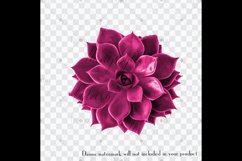 100 Real Vivid Succulent Clip Arts, Botanical Kit Garden Product Image 4