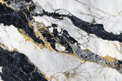 White Black Marble Texture with Gold Veins Product Image 1