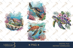 Summer Sea Turtle Clipart Ocean Watercolor PNG Set Product Image 1