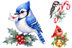 Watercolor Christmas Birds Clipart Bundle, Festive Winter Product Image 2