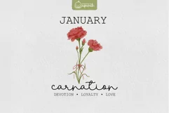 Birth Month January Flower Watercolor Clipart Sublimation Product Image 1