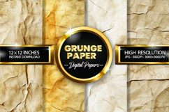 Grunge Paper Digital Papers - 04 Variations Product Image 1